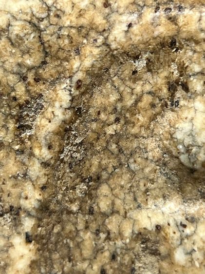 พระสมเด็จวัดระฆังพิมพ์เส้นด้าย ส่งตามรูป รูปที่ 5