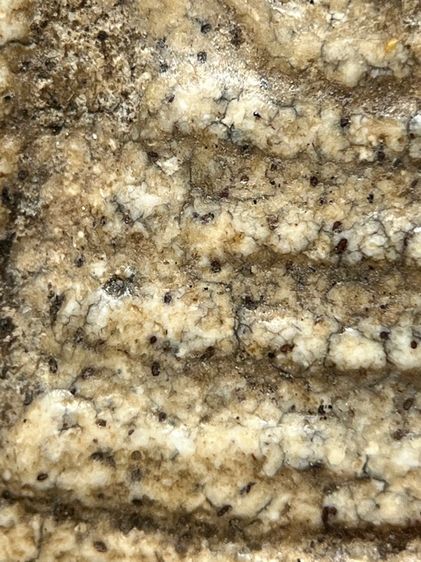 พระสมเด็จวัดระฆังพิมพ์เส้นด้าย ส่งตามรูป รูปที่ 8