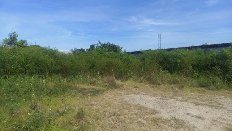 ใช่ ที่ดินเปล่า 107 ตร.ว. ใกล้ถนนศุขประยูร รูปที่ 3