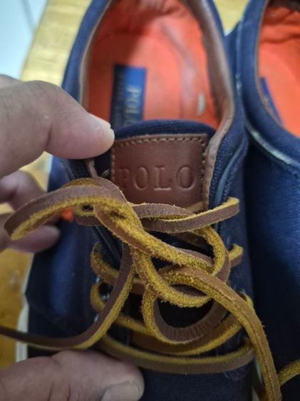 รองเท้าผ้าใบ POLO รูปที่ 6