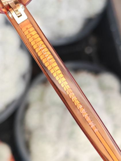 กรอบแว่น Rodenstock Maya Germany ทองหุ้มสวยมาก แบ่งปันกันถูกมากๆครับ รูปที่ 15