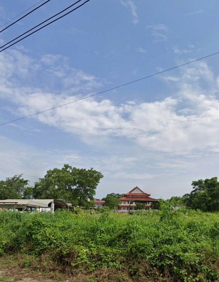 ขายที่ดินสวยมาก ตำแหน่งทำเลดี ในพื้นที่เศรษฐกิจชุมชน ด้านหน้าติดถนนพระยาตรัง ด้านขวาติดถนนซอยพระยาตรัง 10  เนื้อที่ 11-12 ไร่ โทร 0811351135 รูปที่ 2