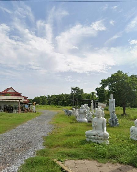 ขายที่ดินสวยมาก ตำแหน่งทำเลดี ในพื้นที่เศรษฐกิจชุมชน ด้านหน้าติดถนนพระยาตรัง ด้านขวาติดถนนซอยพระยาตรัง 10  เนื้อที่ 11-12 ไร่ โทร 0811351135 รูปที่ 3