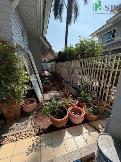 ตกแต่งครบ Detached House for Rent in Sukhumvit 101-1 SPSJP179 รูปที่ 4