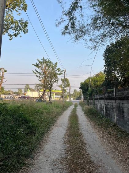 ขายที่ดินแปลงสวย 1 ไร่ บ้านนา นครนายก ใกล้ถนนใหญ่บ้านนาแก่งคอย รูปที่ 3