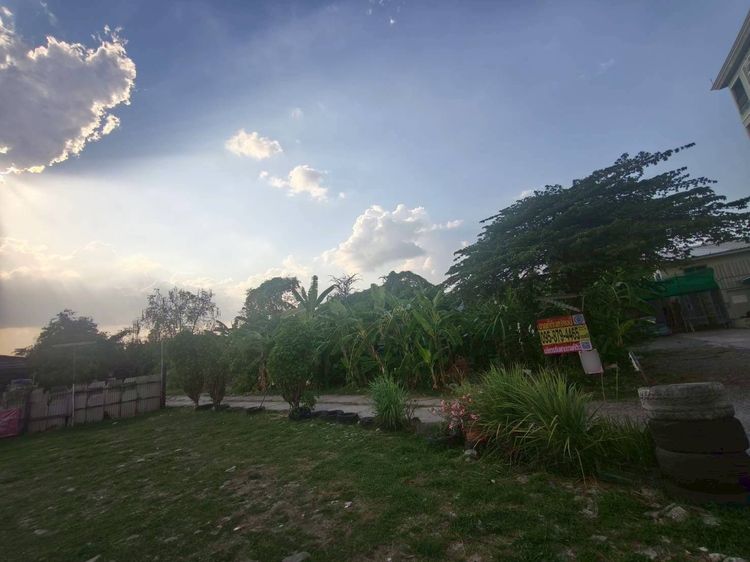 ขายด่วนที่ดิน 2 ไร่ 93 ตรว ติดถนนสาธารณะ ซ.รามอินทรา46 แยก5 บางกะปิ กรุงเทพมหานคร  รูปที่ 3