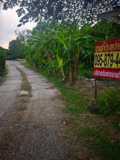 ขายด่วนที่ดิน 2 ไร่ 93 ตรว ติดถนนสาธารณะ ซ.รามอินทรา46 แยก5 บางกะปิ กรุงเทพมหานคร 