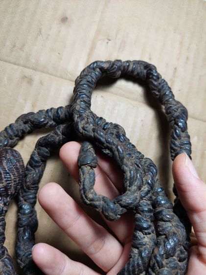 เครื่องรางตะกรุดคาดเอวหลวงพ่อม่วงวัดบ้านทวนยาว 39 นิ้ว รูปที่ 5