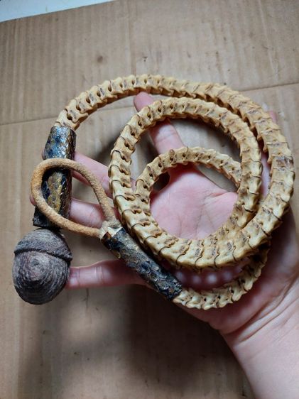 เครื่องรางตะกรุดคาดเอวกระดูกงูหัวเบี้ย