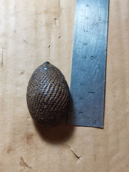 เครื่องรางเบี้ยแก้หลวงปู่รอดวัดนายโรงมีปรอท รูปที่ 5