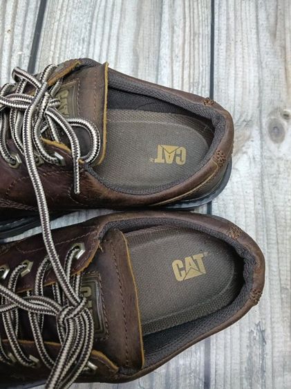 caterpillar size 44 รูปที่ 7