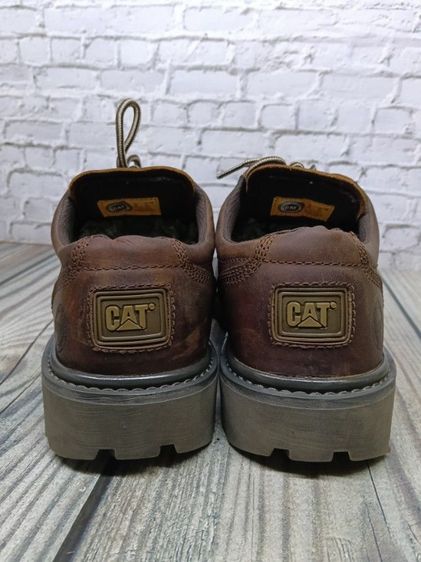 caterpillar size 44 รูปที่ 4