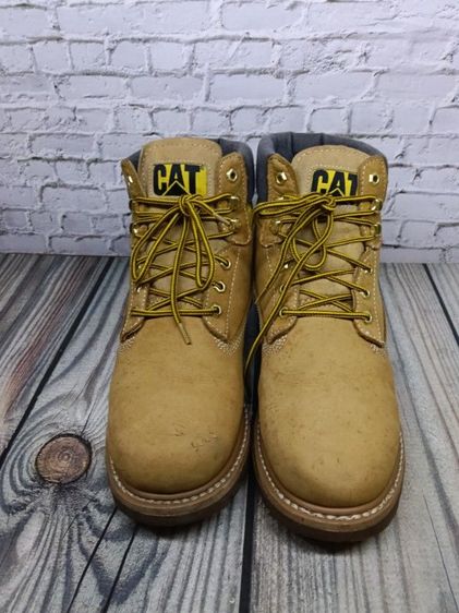 caterpillar size 44  รูปที่ 3