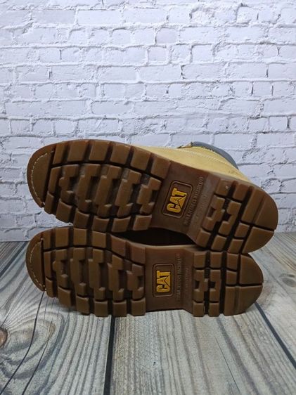 caterpillar size 44  รูปที่ 6