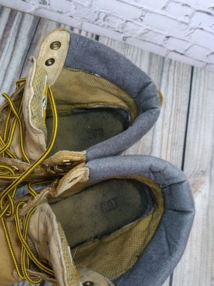 caterpillar size 44  รูปที่ 7