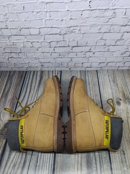 caterpillar size 44  รูปที่ 5