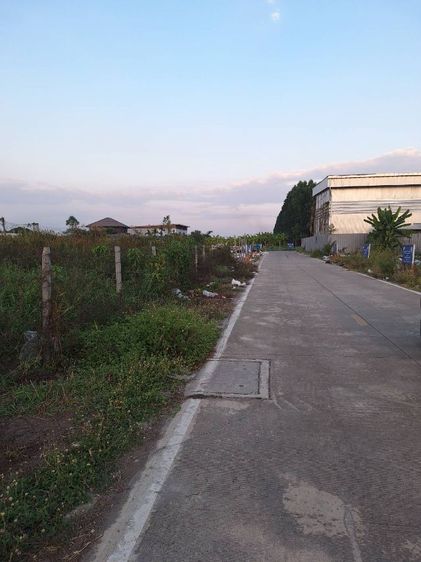 ขายที่ดินเปล่าถมแล้ว ติดถนนคอนกรีต คลองสี่ ลำลูกกา รูปที่ 2