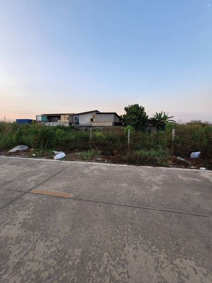 ขายที่ดินเปล่าถมแล้ว ติดถนนคอนกรีต คลองสี่ ลำลูกกา