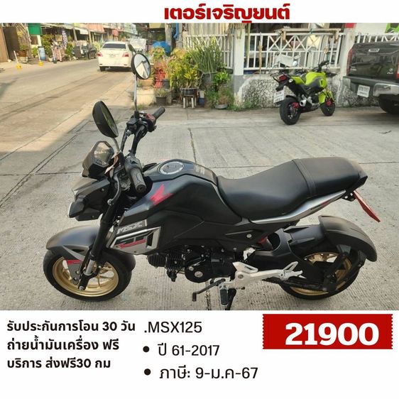 Honda 2017 🛵ยังไงก็ขาย MSX125 ปี 61 เครื่องดี สีสวย สตาร์ทมือ เบรคABS รถบ้านพร้อมใช้งาน เปลี่ยนน้ำมันเครื่องฟรี ส่งฟรี30กิโล