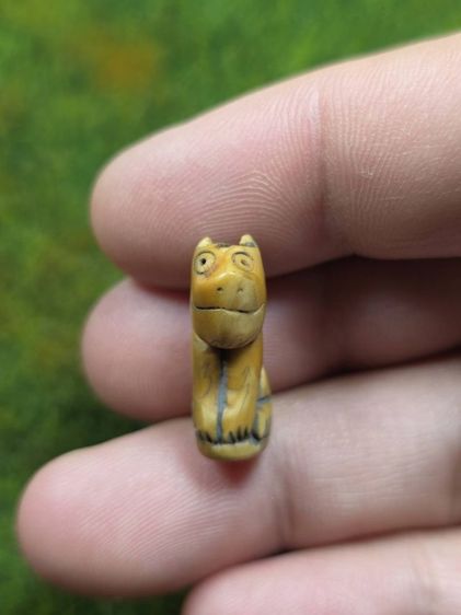 เสือหลวงพ่อปานเก่า รูปที่ 3