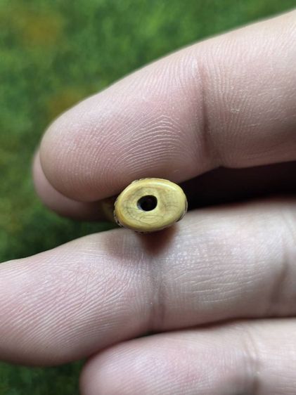 เสือหลวงพ่อปานเก่า รูปที่ 5