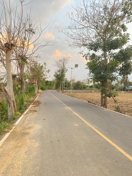 ที่ดิน 2 ไร่ 2 งาส รูปที่ 3