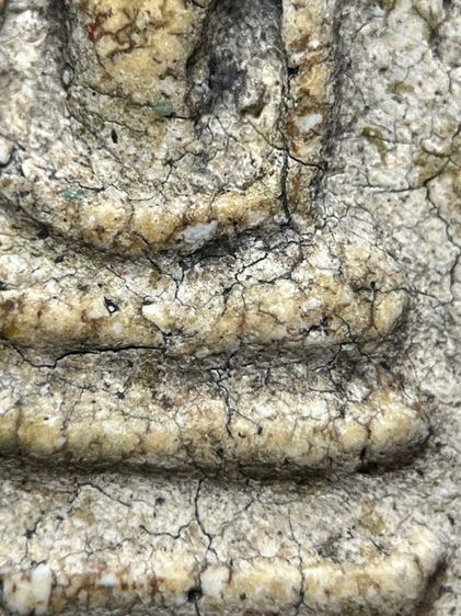 พระสมเด็จวัดระฆังพิมพ์ใหญ่ บล็อคไม้กดมือ ส่งตามรูป (51) รูปที่ 7