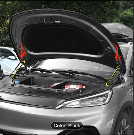 Shock Absorber Front Hood. 