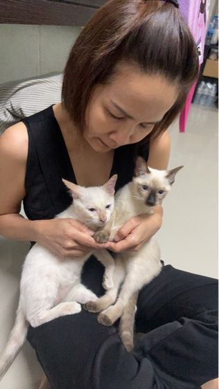 หาบ้านให้ลูกสาววิเชียรมาศ มีค่าสินสอดนะคะ รูปที่ 2