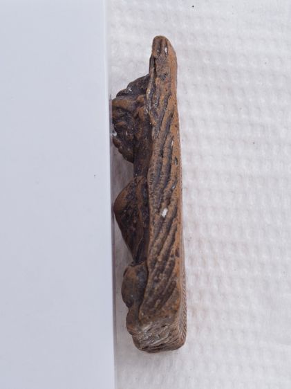 พระผงสุพรรณ 13016908 รูปที่ 4