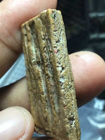 สมเด็จวัดระฆังพิมพ์ใหญ่หลังร่องสวน รูปที่ 5