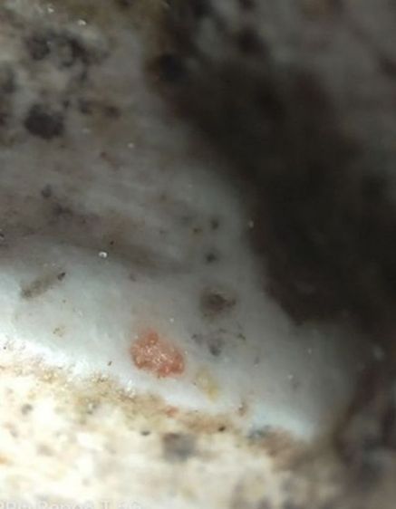 พระสมเด็จ วัดระฆังพิมพ์ใหญ่ ของแท้  รูปที่ 5