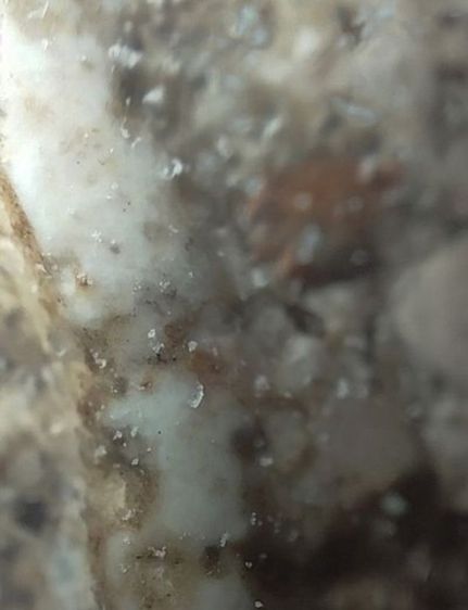 พระสมเด็จ วัดระฆังพิมพ์ใหญ่ ของแท้  รูปที่ 8