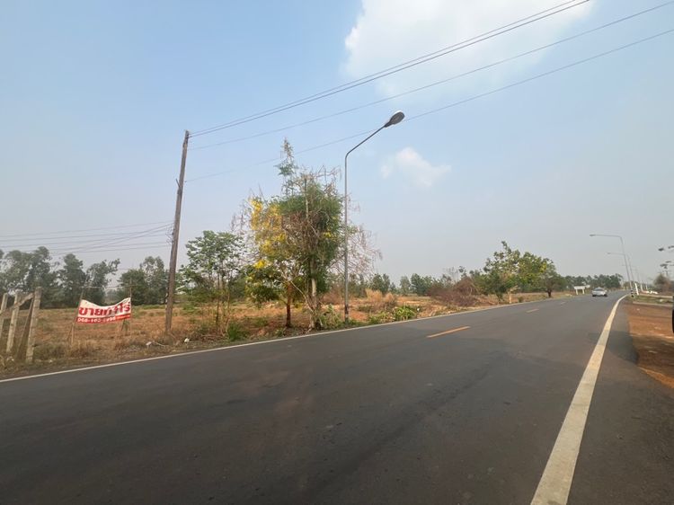 ขายที่ดิน 1ไร่ (ครุฑแดง ) ขายด่วนที่สวย รูปที่ 4