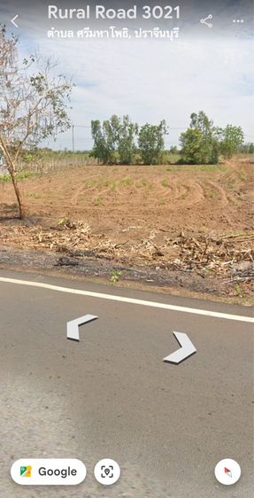 ขายที่ดิน 1ไร่ (ครุฑแดง ) ขายด่วนที่สวย รูปที่ 3