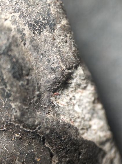 ❌ปิดครับ❌พระปิดตาไม่ทราบวัดครับ รูปที่ 13