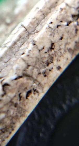 พระสมเด็จ วัดระฆัง บางขุนพรหม วัดเกศไชโย หลวงปู่ภู หลวงปู่นาค รูปที่ 12