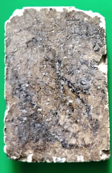 พระสมเด็จ วัดระฆัง บางขุนพรหม วัดเกศไชโย หลวงปู่ภู หลวงปู่นาค รูปที่ 3