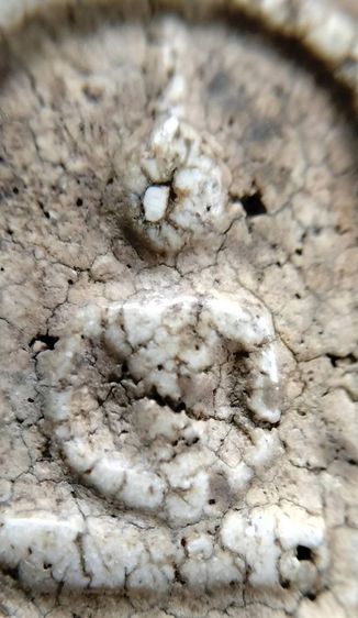 พระสมเด็จ วัดระฆัง บางขุนพรหม วัดเกศไชโย หลวงปู่ภู หลวงปู่นาค รูปที่ 8