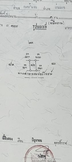 ขายที่ดิน 1 งาน