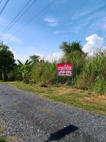 ขายที่ดินเเปลงสวย ลำลูกกาคลอง 12 ทำเลดี ใกล้ถนนหลัก พร้อมปลูกสร้าง รูปที่ 2