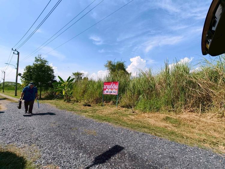 ขายที่ดินเเปลงสวย ลำลูกกาคลอง 12 ทำเลดี ใกล้ถนนหลัก พร้อมปลูกสร้าง