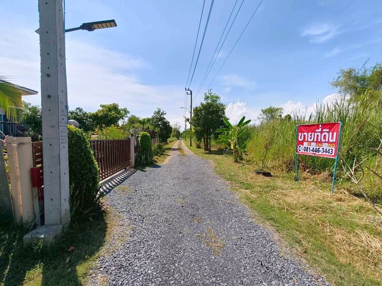 ขายที่ดินเเปลงสวย ลำลูกกาคลอง 12 ทำเลดี ใกล้ถนนหลัก พร้อมปลูกสร้าง รูปที่ 3
