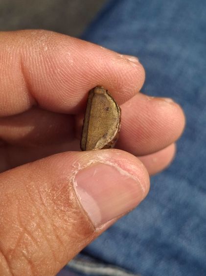 รูปหล่อรุ่นแรกหลวงปู่คำมีวัดถ้ำคูหาสวรรค์ปี2510 รูปที่ 3