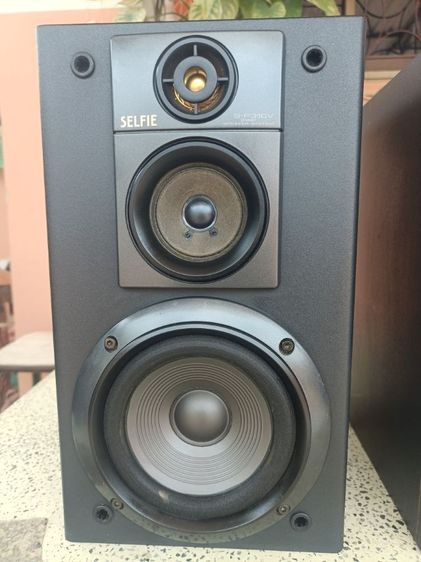 ลำโพง  PlONEER