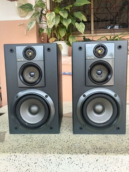 ลำโพง  PlONEER รูปที่ 4