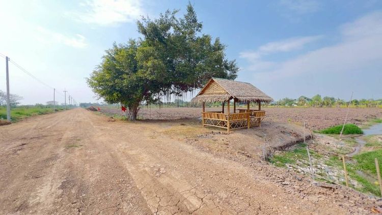 ไม่ใช่ ที่ดินคลอง 11 หนองเสือ ปทุมธานี ขายเพียง ไร่ละ 845,000 บาทเท่านั้น‼️ซื้อยก 2 ไร่
ถนนกว้างมาก 11 เมตร น้ำประปา ไฟฟ้า ครบ  รูปที่ 4