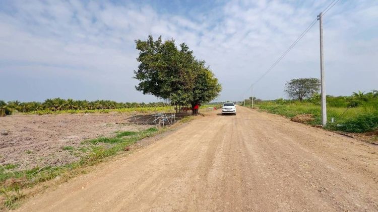 ไม่ใช่ ที่ดินคลอง 11 หนองเสือ ปทุมธานี ขายเพียง ไร่ละ 845,000 บาทเท่านั้น‼️ซื้อยก 2 ไร่
ถนนกว้างมาก 11 เมตร น้ำประปา ไฟฟ้า ครบ รูปที่ 2