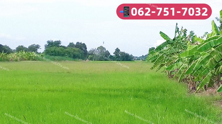 ที่นาให้เช่า ต.ทรายกองดินใต้ เขตคลองสามวา มีนบุรี จ.กรุงเทพมหานคร