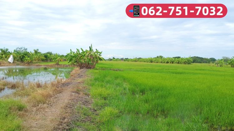 ที่นาให้เช่า ต.ทรายกองดินใต้ เขตคลองสามวา มีนบุรี จ.กรุงเทพมหานคร รูปที่ 2